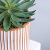 Maceta de Cerámica Simulación Verde para Plantas Maceta de Arcilla Roja Rayada Recta Estilo Chino Estilo Retro Adornos de Jardín Bonsái