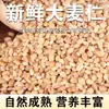 Granos de Cebada Envasados al Vacío 500g Granos Integrales Bajo en Grasa Granos Gruesos Sustituto de Comida Relleno Alimentos Venta al por Mayor Dropshipping