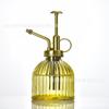 Regadera de vidrio transparente transfronteriza de color para escritorio, rociadora de plantas verdes carnosas, herramientas de riego para jardinería, adornos al por mayor