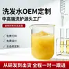 Processamento Personalizado de Shampoo, Shampoo Anti-Quebra com Suco de Gengibre, Shampoo com Aminoácidos, Óleo de Chá Branco, Controle de Oleosidade, Anti-Caspa, Fábrica OEM