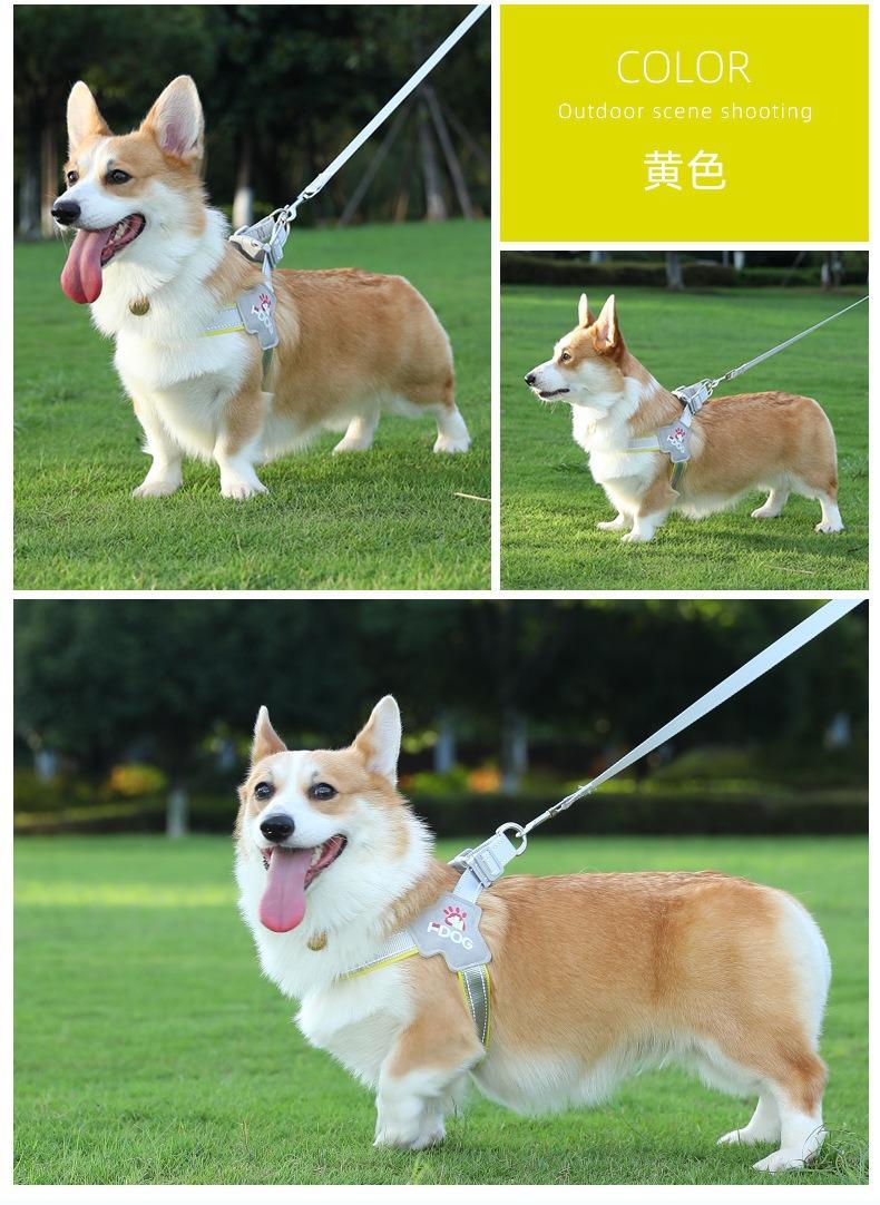 描述图_14.jpg