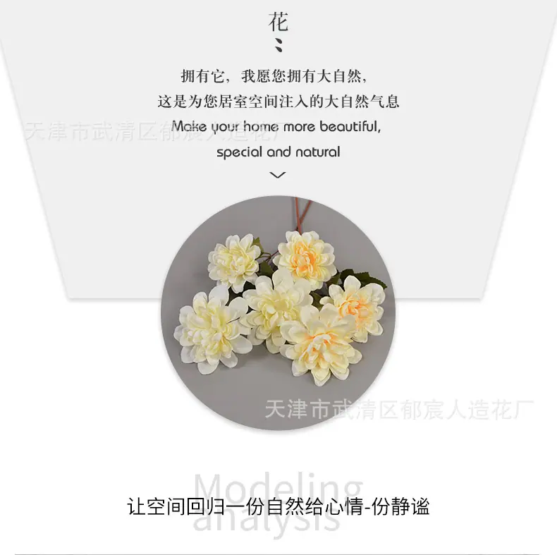 详情_06.jpg