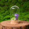 Pedra Bruta de Cristal Natural Pequeno Ornamento de Cogumelo Micro-Paisagem Espécime Mineral Educação Científica Infantil Presente de Feriado Decoração de Mesa
