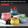 Maceta para pulgar suculenta mini mini maceta para pulgar maceta de cerámica para flores suculentas planta creativa flor pequeña Ma Long mesa Mai Tai Bao