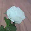 Flor Artificial de Alta Venta Tallo Único Decoración de Boda Planta para Paisajismo de Jardín Regalo de San Valentín Accesorio para Fotografía de Bodas Flor Rosa