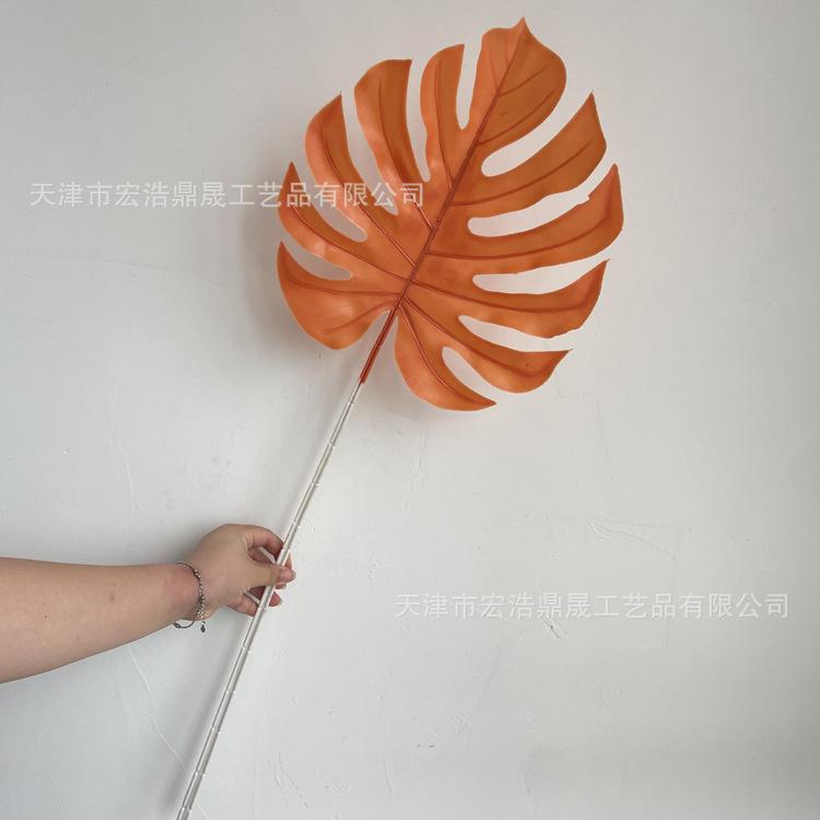 微信图片_202208091601429_副本