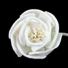 Processamento Personalizado de Vários Tipos de Flores Tongcaohua, Múltiplos Designs de Flores Adequados para Aromaterapia/Decoração, Fabricante Direto da Fonte de Flores Secas