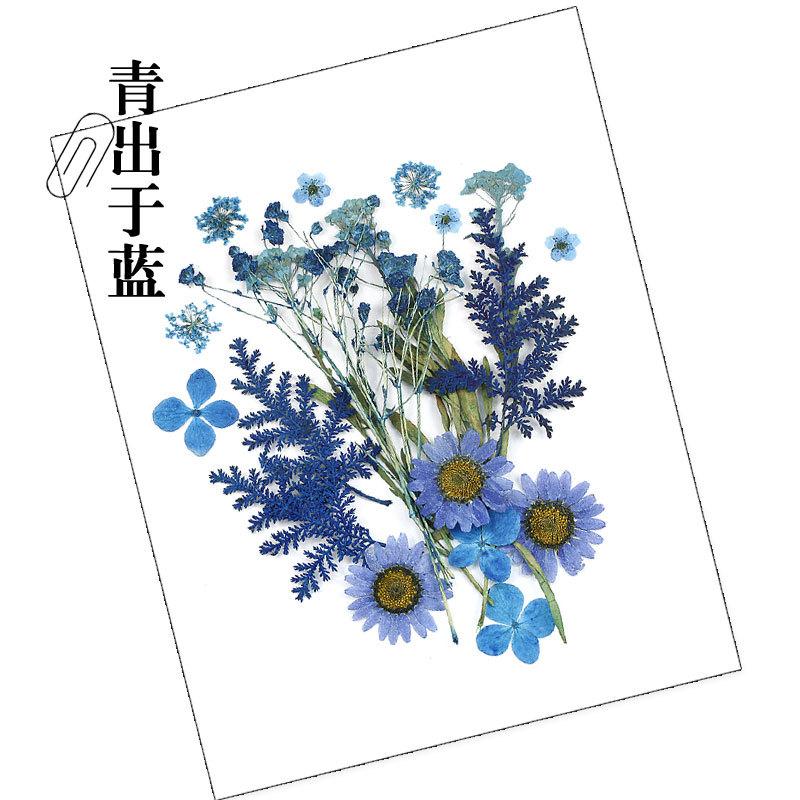 干花材料包-青出于蓝.jpg
