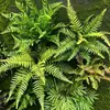 Plantas verdes artificiales en stock, manojos de helecho, hojas de helecho, hierba de helecho para decoración de paredes interiores y diseño de paisajes, césped artificial al por mayor