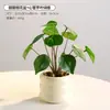 Flores de Hortensia Artificiales, Plantas Falsas, Macetas de Cerámica, Plantas en Maceta para Decoración de Sala de Estar y Aparador, Plantas de Flores Secas