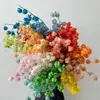 Linterna de Flor Eterna Fruta en stock para venta al por mayor, fruta de gelatina, flor de campanilla de viento, decoración de hotel y casa de huéspedes, arreglos florales, materiales florales para bodas