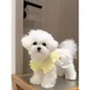 25 Estilos Nuevos de Ropa para Mascotas para Perros y Gatos: Teddy, Bichón, Maltés, Ropa de Casa para Cachorros, Vestidos de Princesa, Ropa para Pomerania