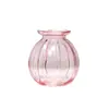 Atacado de vasos de vidro soda-cálcica transfronteiriços, potes de vidro para armazenamento, decorações de sala de estar estilo renda de luxo leve, vasos para flores hidropônicas