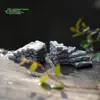Escada, degraus, curva, escadinha, terrário de musgo, materiais de paisagismo DIY, acessórios decorativos, pequenos enfeites