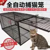 Artefato de Captura de Gatos Gaiola de Captura de Gatos Totalmente Automática Grande Captura de Gatos Selvagens Gaiola Especial de Captura de Gatos de Rua Resgate Humanitário
