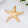 Tendencia de Moda de Venta Caliente Transfronteriza Nicho Moda de Alta Gama Broche de Estrella de Mar Adecuado para que las Mujeres lo Usen en Banquetes Diarios y Fiestas