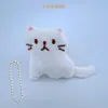 Peluche de Gato Lindo Relleno de Algodón Accesorios Manualidades de Tela DIY Ropa Infantil Accesorios para el Cabello Accesorios para Zapatos y Calcetines Venta al por Mayor