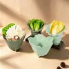 Vajilla de melamina, platos creativos para platos fríos, platos para snacks, platos de sangre de pato y res, tazones para callos, servicio de mesa para restaurantes de hot pot y barbacoa, platos de hielo seco