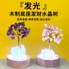 Base de luz blanca de cristal personalizada con piedras, árbol de la fortuna luz de noche enchufable USB, adorno de decoración para el hogar de árbol del dinero