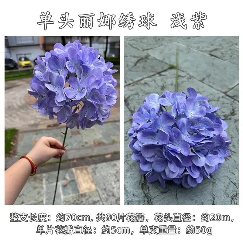 浅紫.jpg