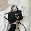 Bolso pequeño combinable para mujer 2021, bolso nuevo y popular, bolso de hombro moderno, bolso Kelly portátil, bolso cruzado de celebridades de Internet.