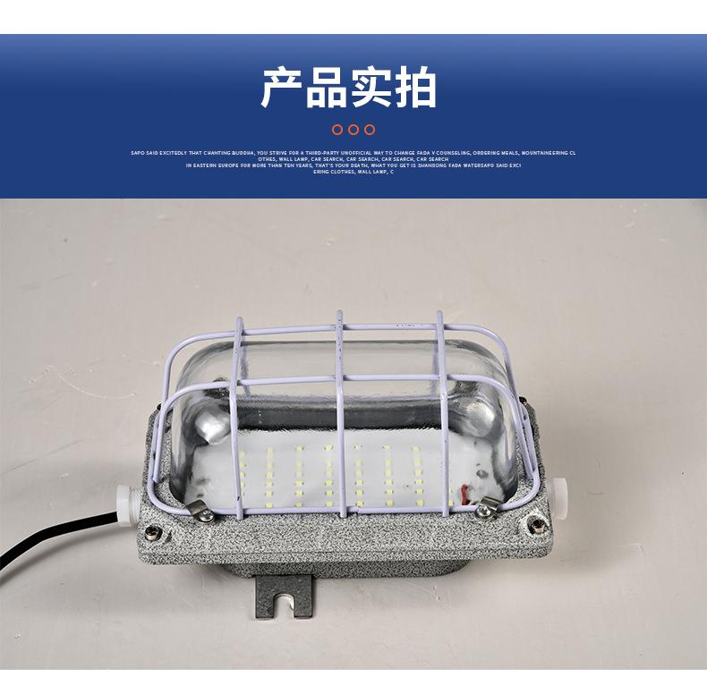 防爆灯_13.jpg
