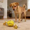 Pelota de juguete para perro mascota ETPU, pelota sólida de alta elasticidad con nudo de cuerda, flota en el agua, alivia el aburrimiento, duradera, juguete interactivo para perros Teddy