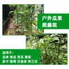 Soporte para Plantas Jardinería Tubo Recubierto de Plástico Poste Trepador para Pepino Tomate Poste Pilar Recubierto de Plástico Poste de Soporte para Plantas
