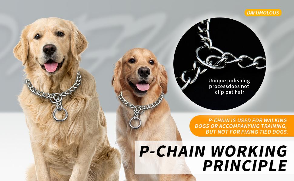 dog chain