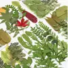 Planta Folha Verde Espécime Folhas Flores Secas Jardim de Infância Material Artesanal Adesivo Folhas Reais DIY Cola de Gota Moldura de Foto Embossado