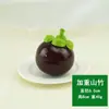 Modelo de mangostão artificial mangostão reforçado materiais didáticos de mangostão loja de frutas falsas decoração de móveis de armário adereços de exibição para fotografia