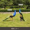 Escultura de fibra de vidrio de simulación de pavo real al aire libre con pantalla abierta, decoración de animales del bosque para parque, paisaje de jardín, boceto de jardín