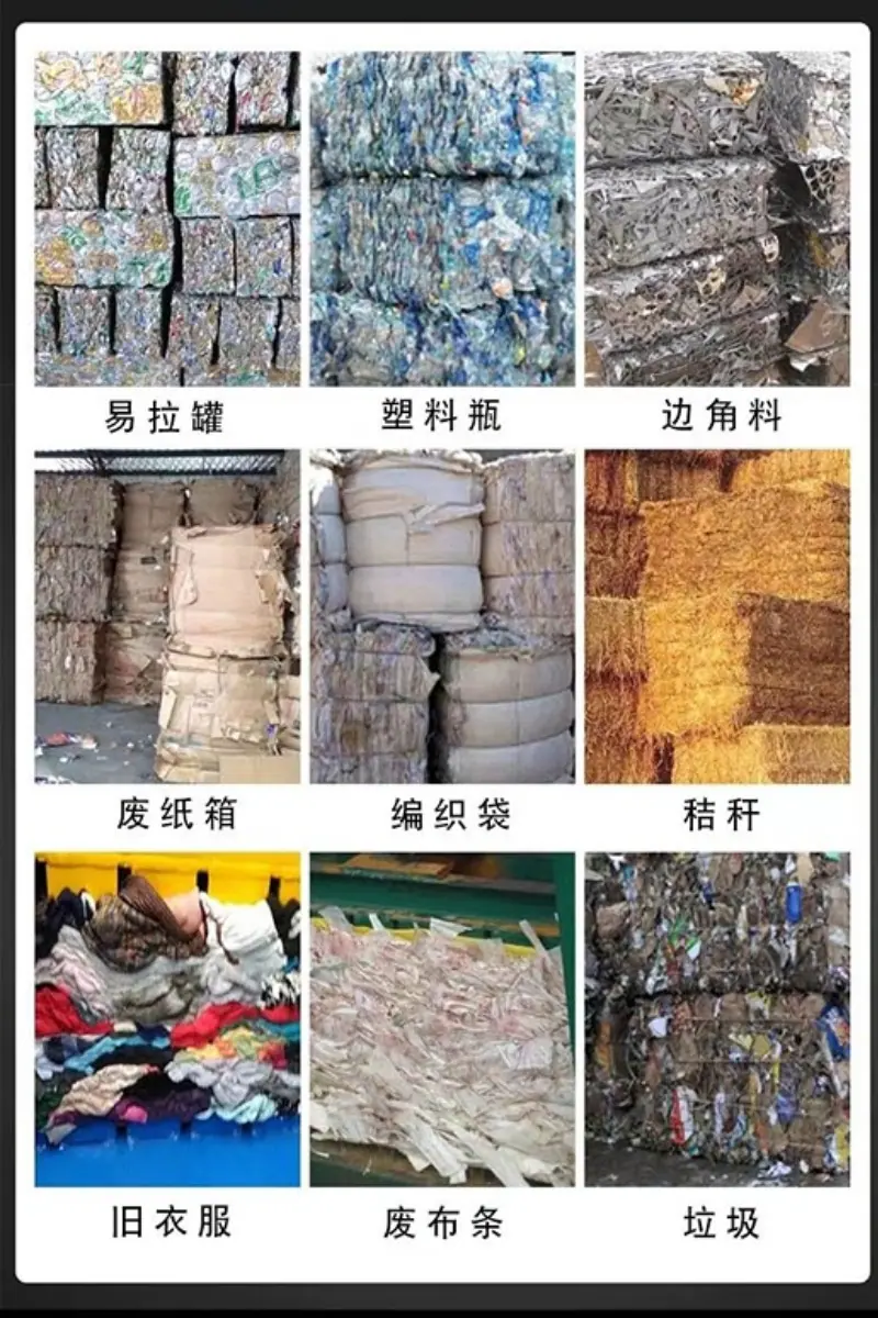 详5 (5).jpg