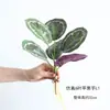 Simulación Bosque Caucho Suave Tacto Mano Hoja Falsa Paisaje Colgante Pared Fondo Pared Oficina Guardería Rincón Plantas Decoración