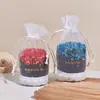 Bolsa Aromaterapia Compuesta, Bolsita de Cristal Mineral Nano, Bolsita para Coche, Bolsa de Gasa, Bolsa de Carbón, Bolsa de Carbón Activado Desodorante para Coche
