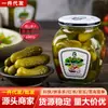 Pepinos em Conserva Estilo Russo Katyusha Conservas Prontas para Comer Pepinos Crocantes Apelativos Pepinos para Piquenique Alimentos em Conserva