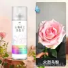 Tinta Spray que Muda de Cor para Flores em Estoque para Arte Floral e Floriculturas, Tinta Spray Autosspray em Azul Gelo e Agente Spray Colorido na Cor Ameixa