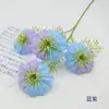 Flores Artificiales de Seda para Bodas, Clemátide Estilo Europeo de un Solo Tallo, Superventas Transfronterizo, Arreglo Floral para Pared de Fondo de Boda, Decoración de Pasillo