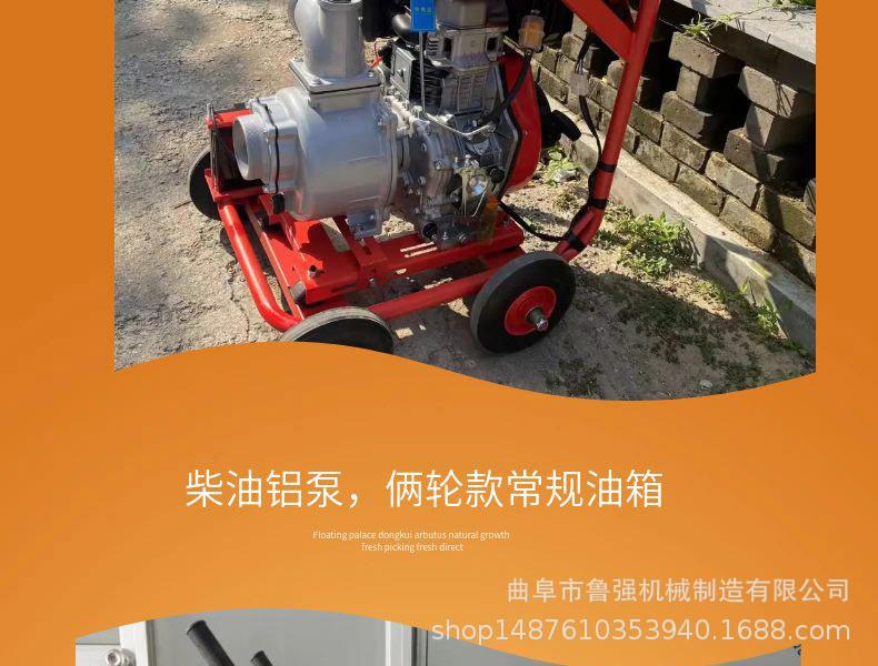 淘宝天猫黄色小清新风格龙眼水果详情页模板_07