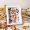 Marco de fotos de flores secas hecho a mano para DIY, marco vacío de especímenes de hojas y flores para exhibición, adecuado para enmarcar conchas, piedras y plantas