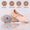 Nova Lace-up Free Dance Shoes Soft Sole Ballet Belly Dance Cat Garra Body Test Dance Shoes