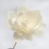 Xiangmanwu DIY Difusor de Aroma Flores Secas Adornos de Flores Secas para Hotel Habitación Modelo de B&B Flores Difusoras de Aceite Esencial