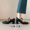 Sapatos Mary Jane Quadrados Estilo Retro Francês para Mulheres, Novo Estilo Primavera 2026, Salto Alto, Tira Única, Boca Rasa, Scarpins de Salto Grosso