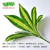 Plantas Artificiais, Vasos de Plantas Verdes, Jardineiras, Folhas Falsas Decorativas, Pequenos Buquês de 9 Ramos, Paredes de Plantas, Flores Artificiais, Materiais de Paisagismo
