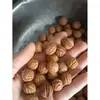 Semillas de núcleo de almohada de melocotón pequeño, cuentas sueltas, semillas sueltas, nuez de montaña pequeña, materia prima, almohada cervical silvestre, relleno de almohada, nuez