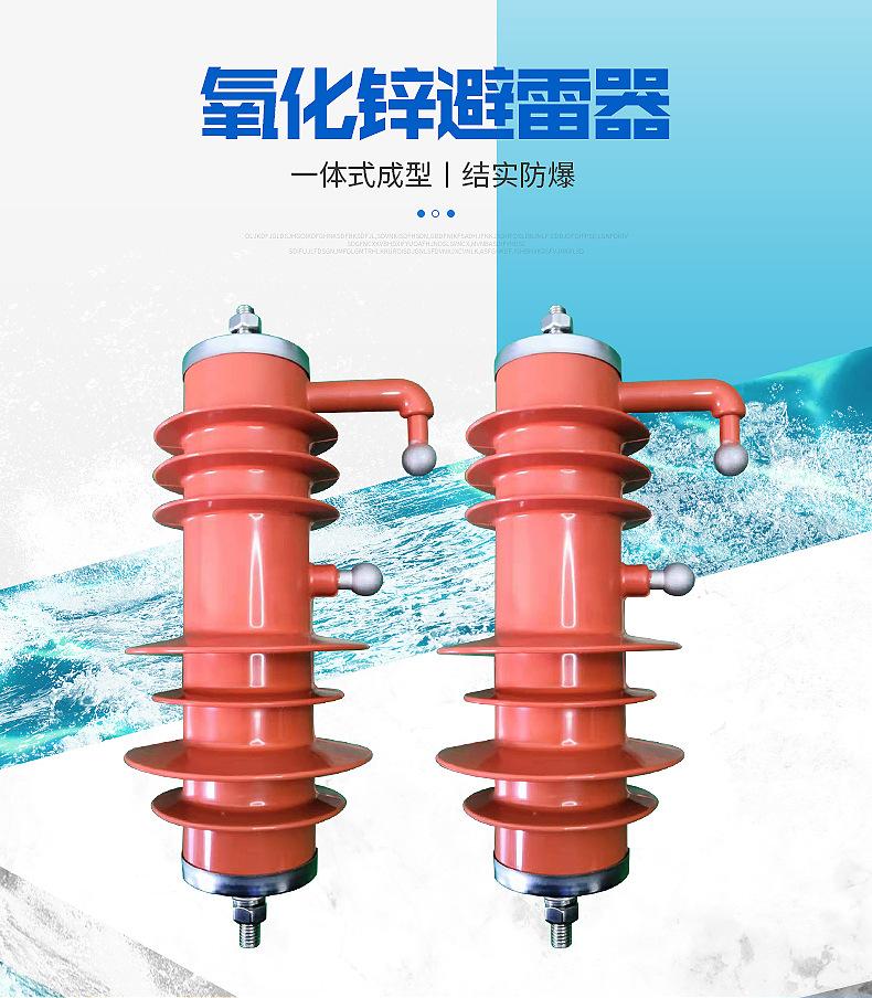 YH10CX-13-36避雷器_03.jpg