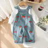 Comercio exterior primavera y otoño para niños nueva ropa infantil overol de tirantes con estampado de cerezas azules