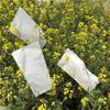 Bolsa de Papel de Ácido Sulfúrico Cubierta de Aislamiento de Polen Bolsa de Papel de Piel de Oveja Bolsa de Cría Bolsa Híbrida Bolsa para Frutas Bolsa para Maíz