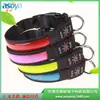Amazon Collar LED Iluminado Recargable por USB Collar Luminoso Anti-Pérdida para Mascotas Suministro Directo de Fábrica Venta al por Mayor