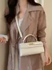 Bolsa Cuadrada Pequeña Estilo Nuevo Verano 2026, Bolso de Mano Casual Simple y Elegante para Mujer, Bolso de Mano y Bolso Cruzado de Nicho de Alto Valor